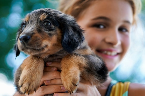 young girl holding puppy dog